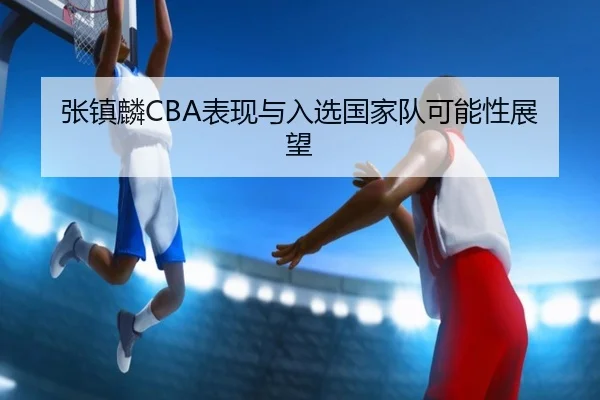 张镇麟CBA表现与入选国家队可能性展望